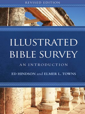 cover image of Illustrated Bible Survey